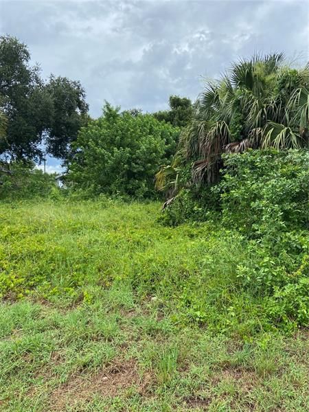 Recently Sold: $35,000 (0.42 acres)
