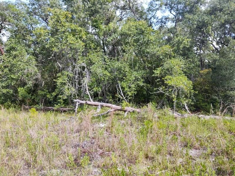 Recently Sold: $47,500 (2.61 acres)