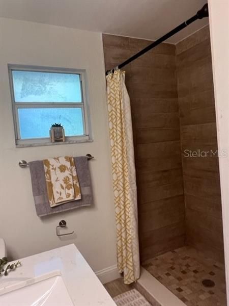 Master bathroom shower
