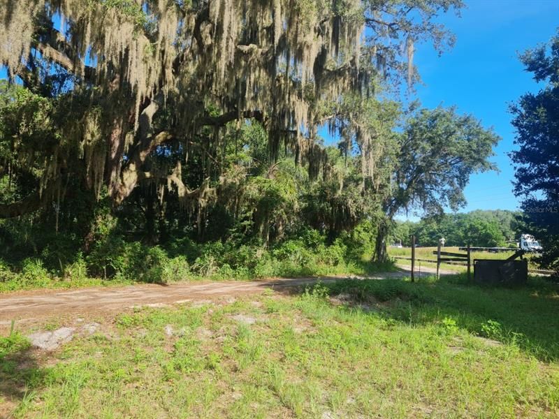 Active With Contract: $75,000 (0.39 acres)