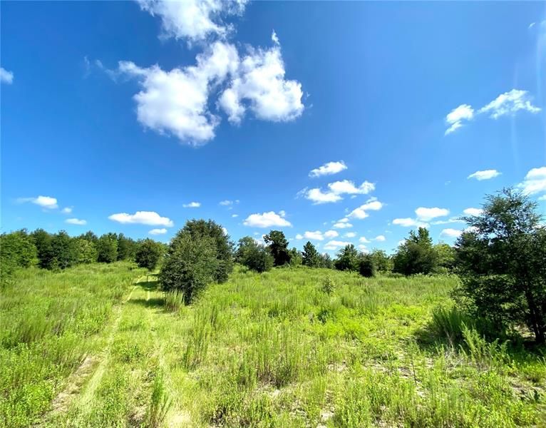 The 9.33 acre property offers a beautiful hill for views of the National forest.