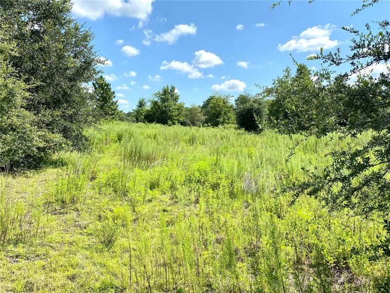 Recently Sold: $180,000 (9.30 acres)
