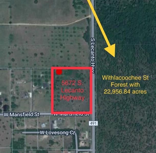 The 9.33 acre property is adjacent to Withlacoochee State Forest home to outstanding forest and water resources that offer a variety of activities like camping, hiking, swimming and horse trails.