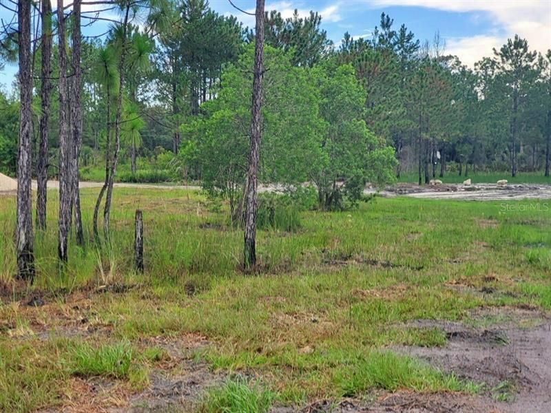 Recently Sold: $51,000 (2.05 acres)
