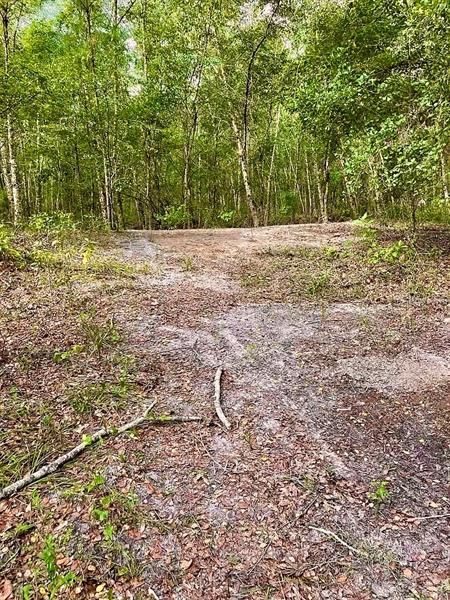 Недавно продано: $184,500 (41.00 acres)