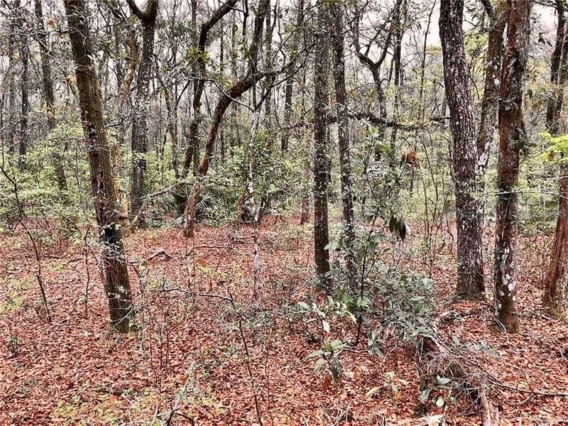 Vendido Recientemente: $184,500 (41.00 acres)