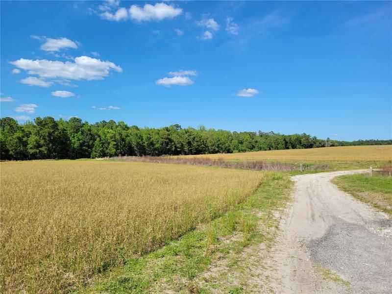 Recently Sold: $122,900 (10.01 acres)