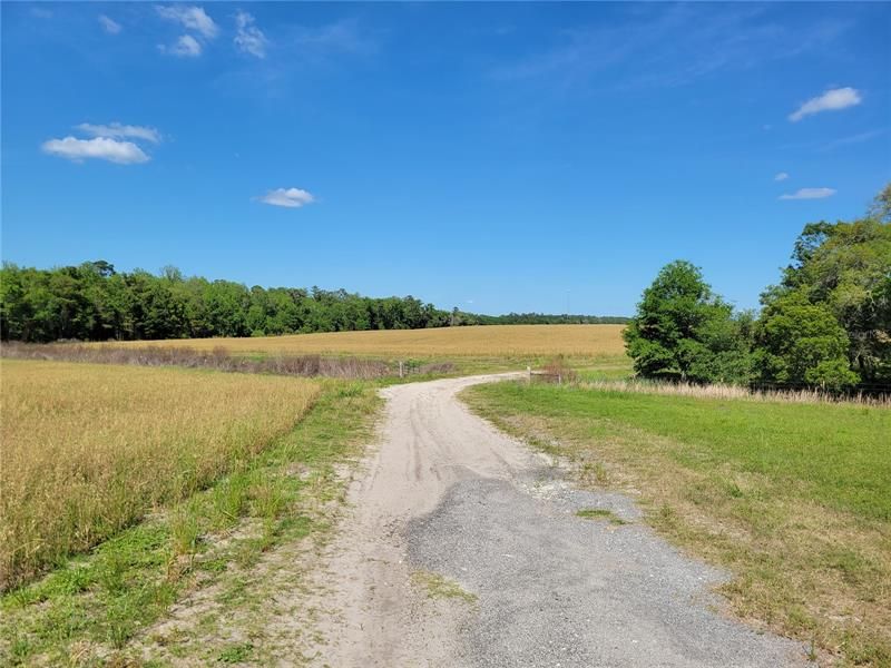 Recently Sold: $114,900 (10.94 acres)