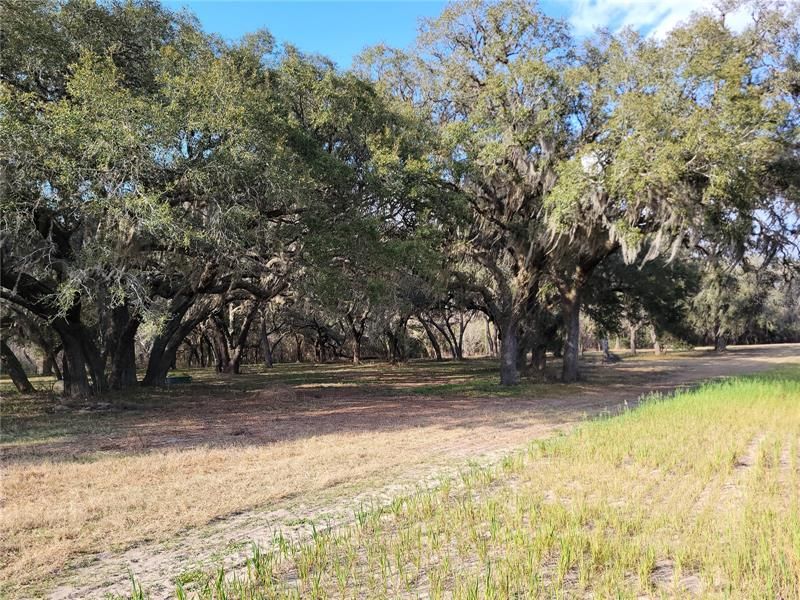 Recently Sold: $114,900 (10.94 acres)