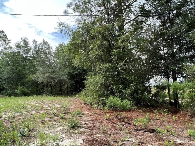 Vendido Recientemente: $39,900 (1.00 acres)