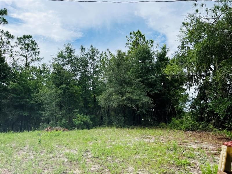 Recently Sold: $39,900 (1.00 acres)