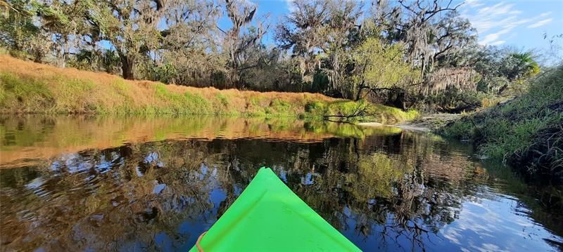 Kayaking right from your backyard!