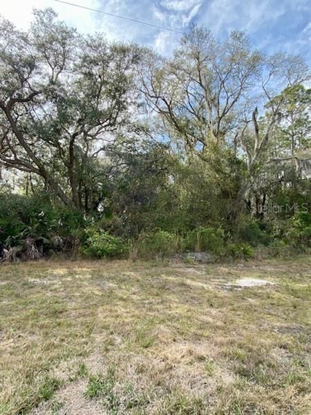 Recently Sold: $17,900 (1.21 acres)