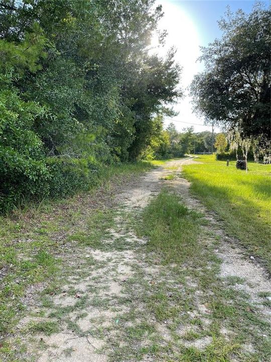 On road, looking west.