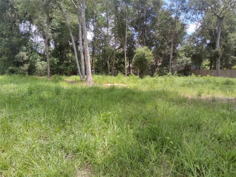 Recently Sold: $35,900 (0.34 acres)