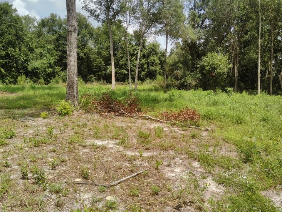 Vendido Recientemente: $35,900 (0.34 acres)