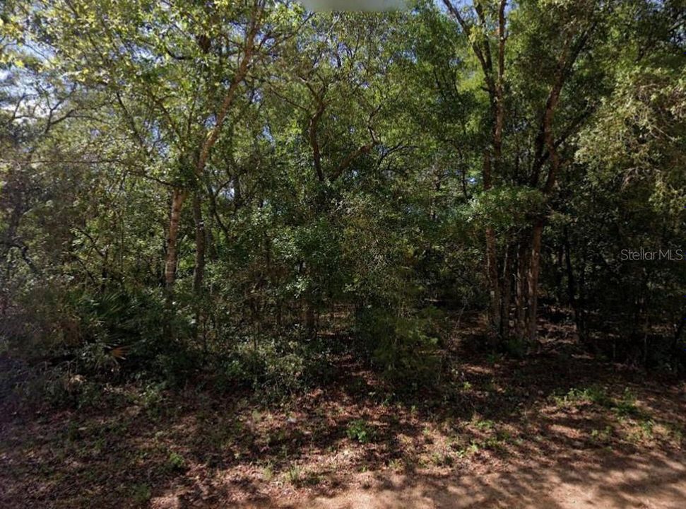 Vendido Recientemente: $8,000 (0.34 acres)