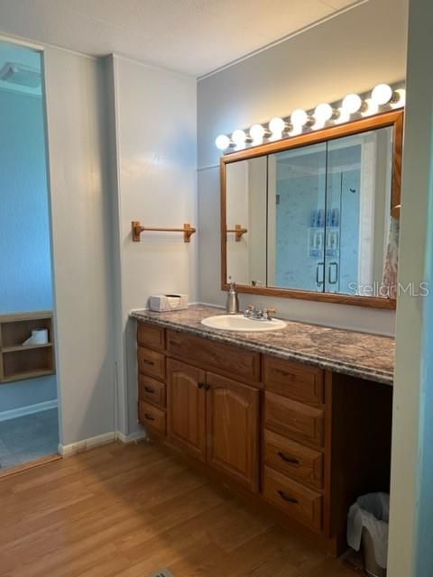 Master Bath Vanity area