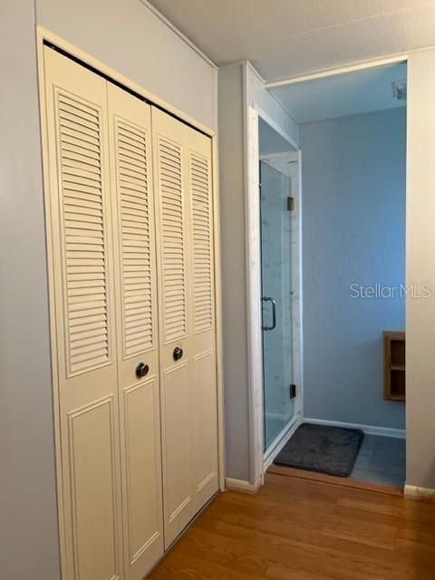 Walk in closet and view of separate shower area