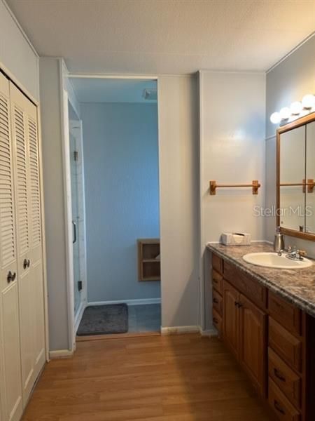 View of Master Bath Dressing area, Vanity area and closet