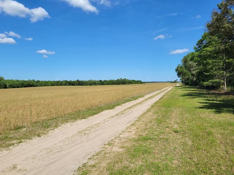 Recently Sold: $124,900 (10.03 acres)