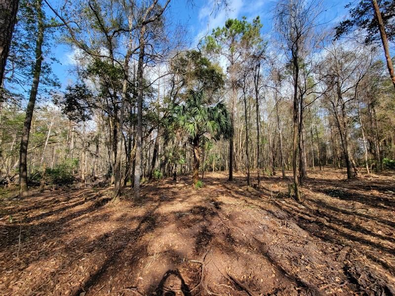 Recently Sold: $124,900 (10.03 acres)
