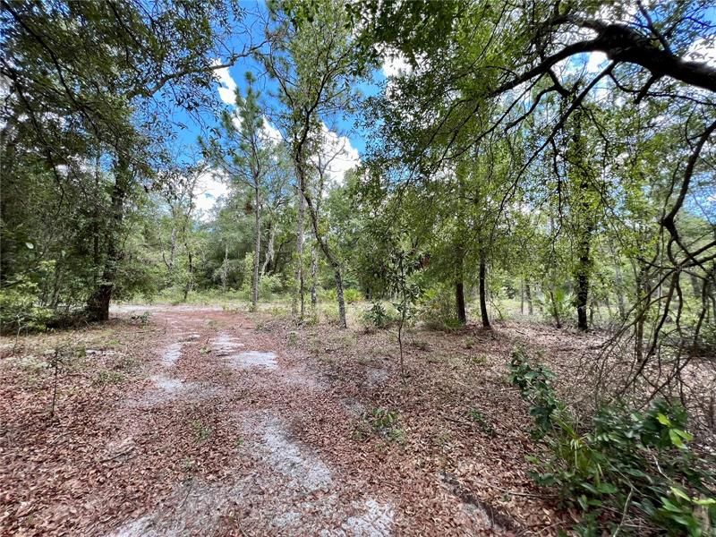 Recently Sold: $154,000 (5.00 acres)
