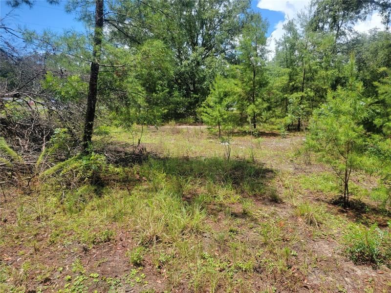 Recently Sold: $15,900 (0.22 acres)