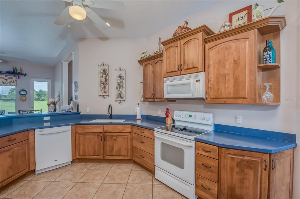 Open Spacious Kitchen