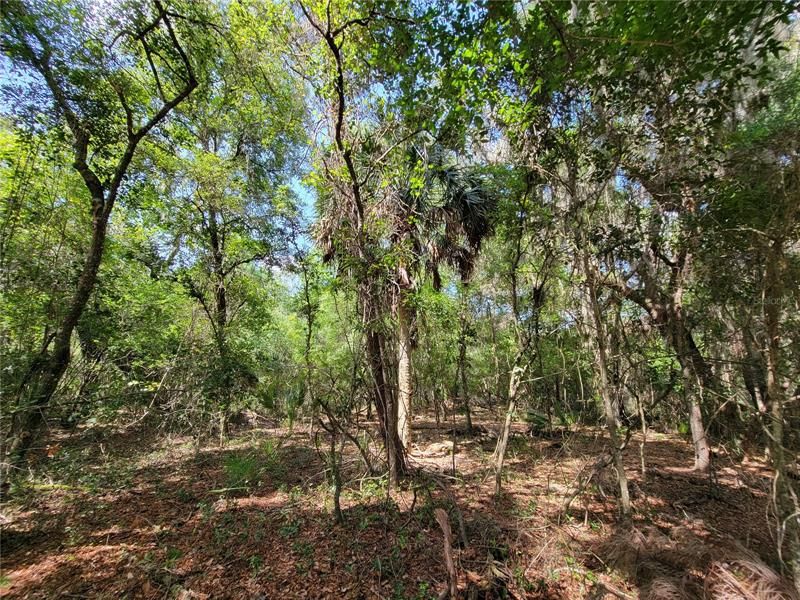 Recently Sold: $84,950 (5.65 acres)
