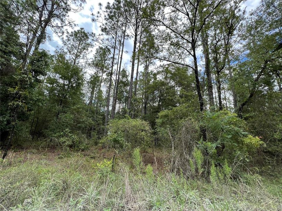 Recently Sold: $12,500 (1.03 acres)