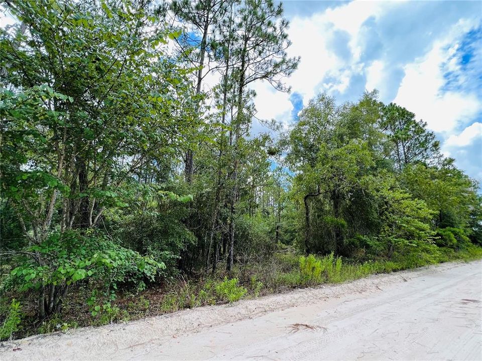 Recently Sold: $12,500 (1.03 acres)