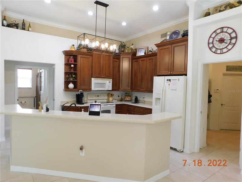 Stunning kitchen opens to the walk-in pantry, laundry room and garage.
