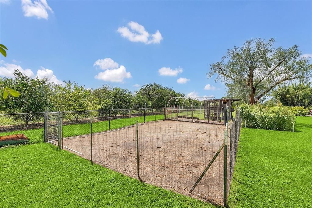 Chicken coop and garden