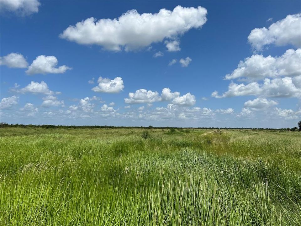 Recently Sold: $110,000 (10.00 acres)