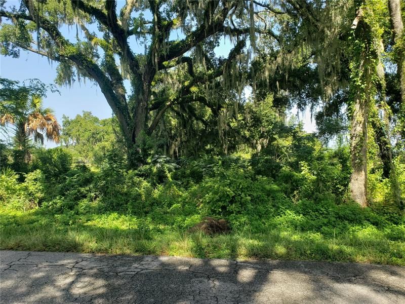 Recently Sold: $62,000 (1.31 acres)