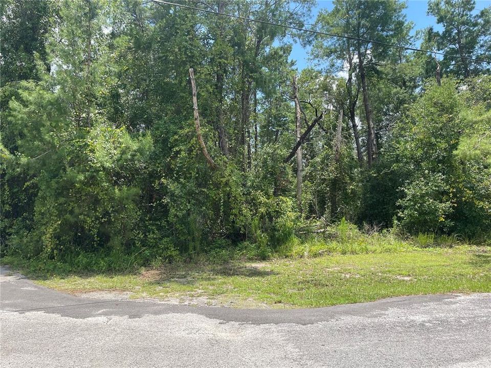 Recently Sold: $42,000 (0.86 acres)