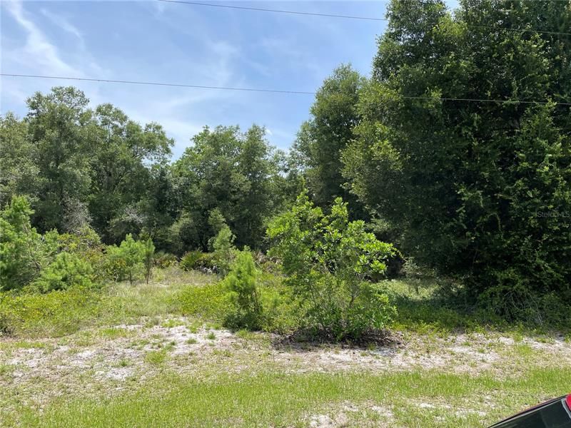 Recently Sold: $24,000 (0.14 acres)