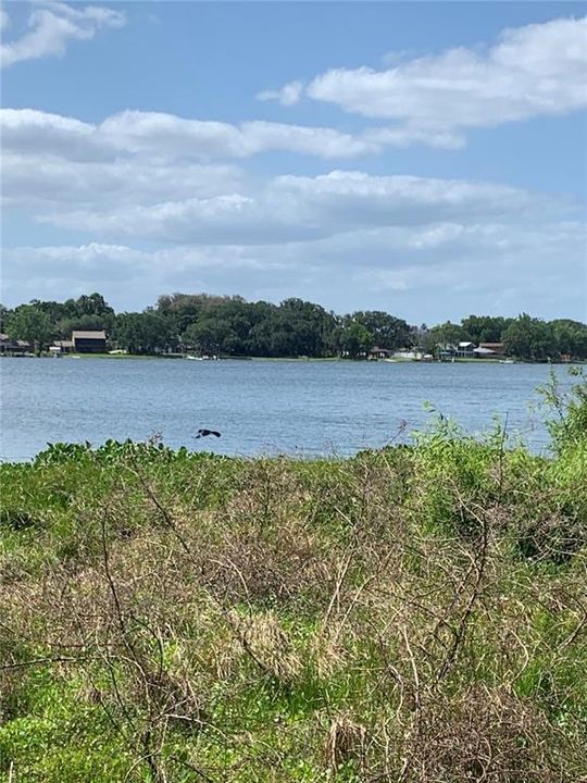 Vendido Recientemente: $250,000 (1.32 acres)