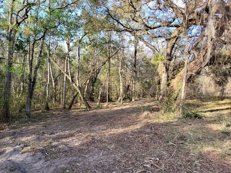 Recently Sold: $129,900 (10.96 acres)