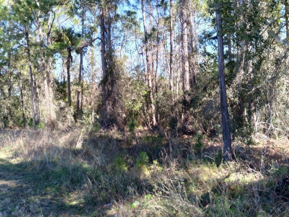 En Venta: $1,400,000 (21.56 acres)
