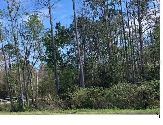 待售: $110,000 (3.13 acres)