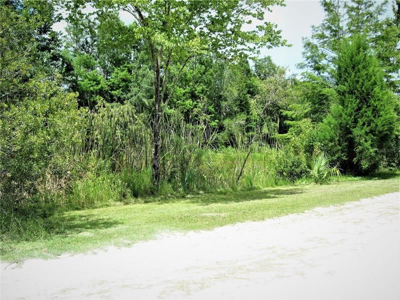 LOOKING ACROSS THE ROAD TO WATERWAY