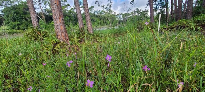 Недавно продано: $35,000 (0.33 acres)