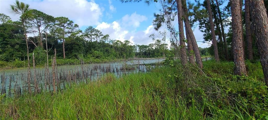 Недавно продано: $35,000 (0.33 acres)