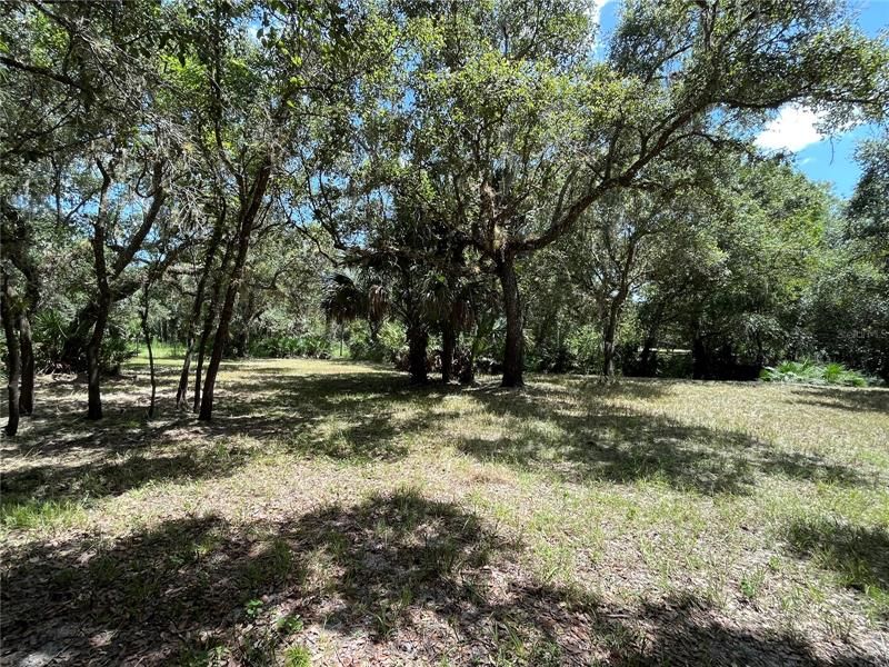Recently Sold: $50,000 (1.43 acres)