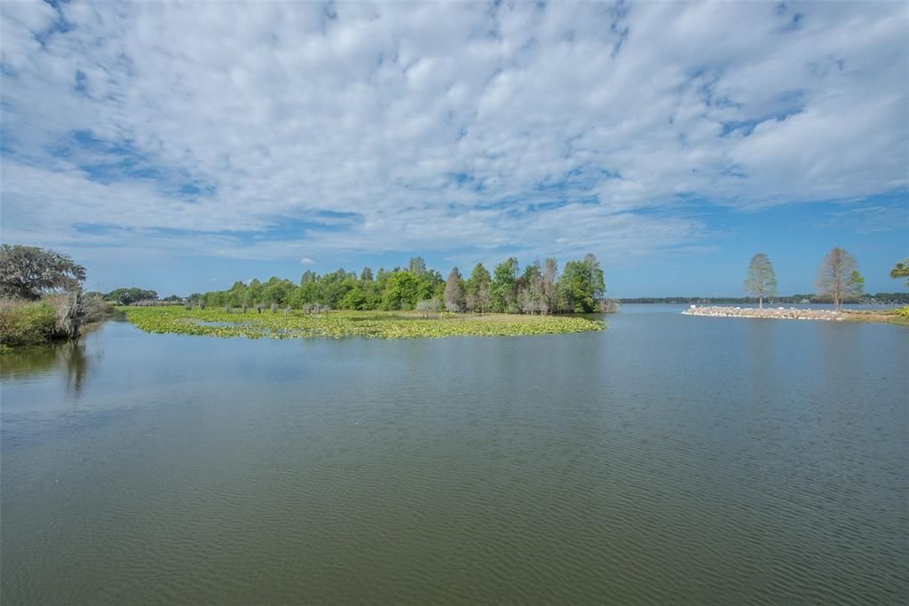 View of Lake Thonotosassa from the Lakeside Lodge