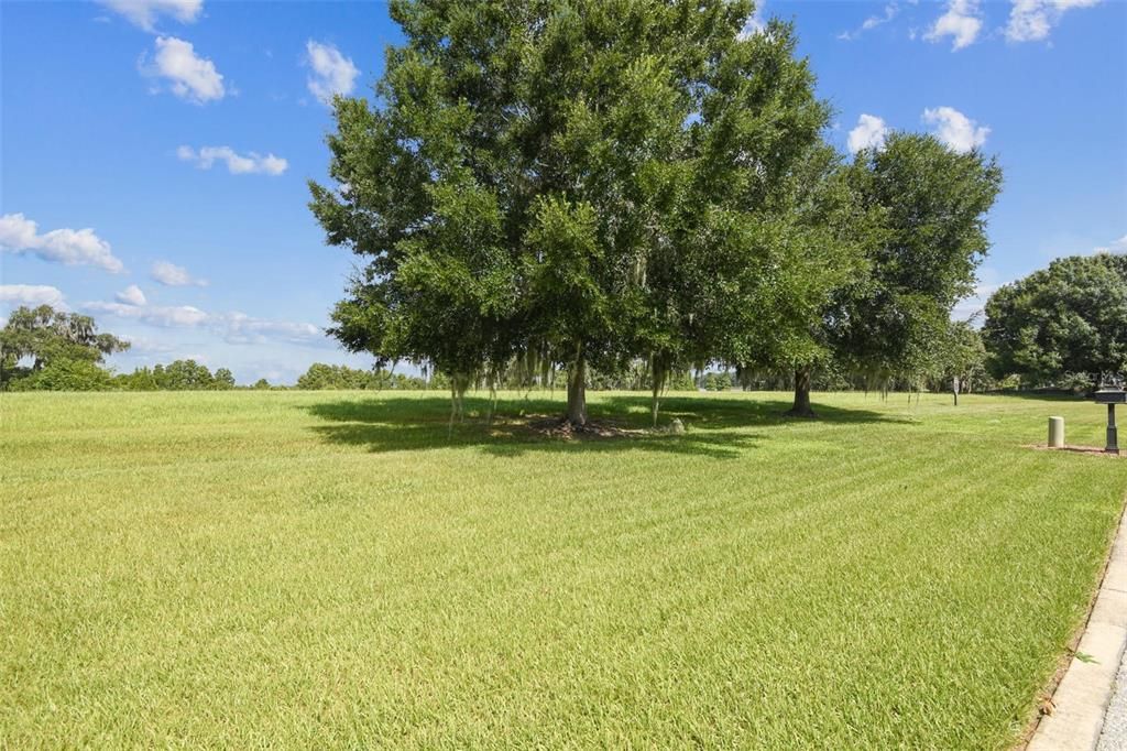 Lot #55 is located on the northern canal of Lake Thnotosassa boarding Stonelake Ranch.