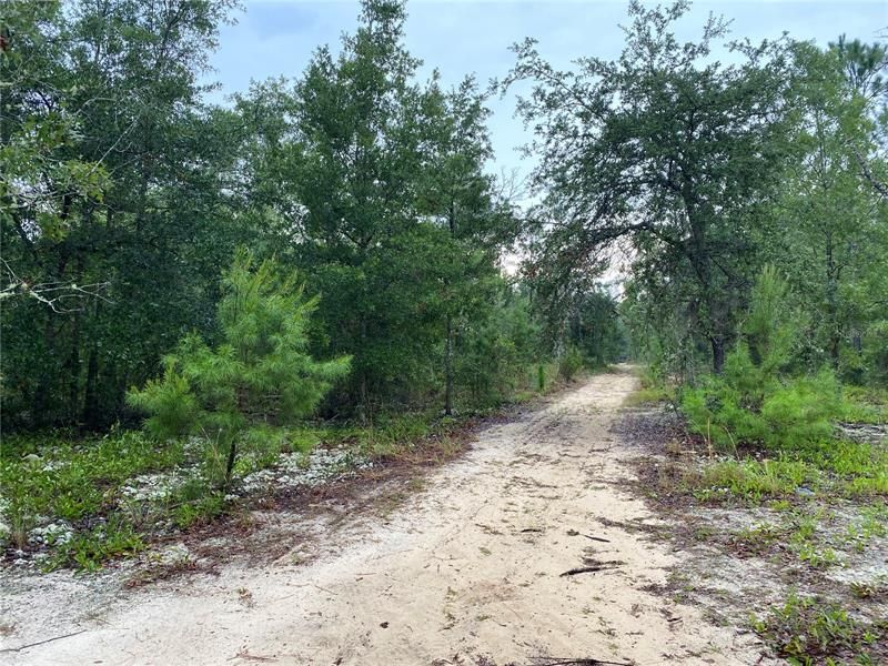 Recently Sold: $5,000 (0.18 acres)