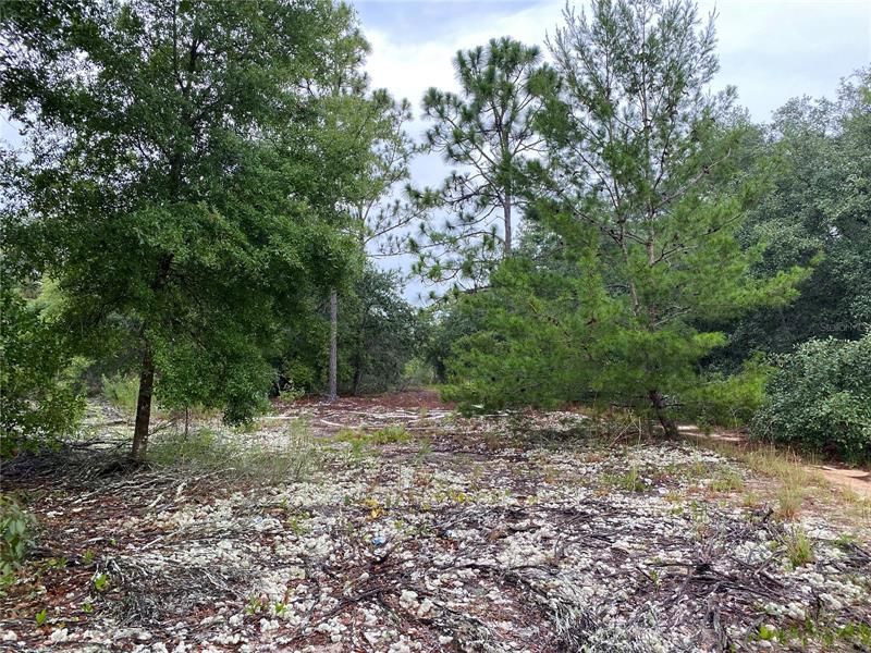 Recently Sold: $7,500 (0.30 acres)